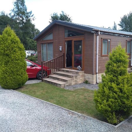 Squirrel Lodge Clearwell Εξωτερικό φωτογραφία